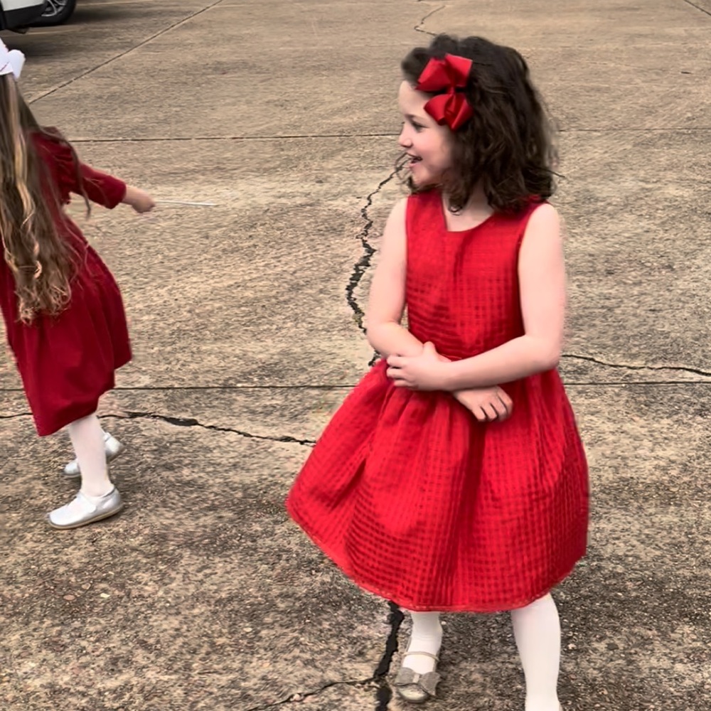 Perfect Dress for Christmas or Valentines Day